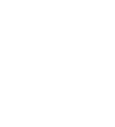 Website Development 